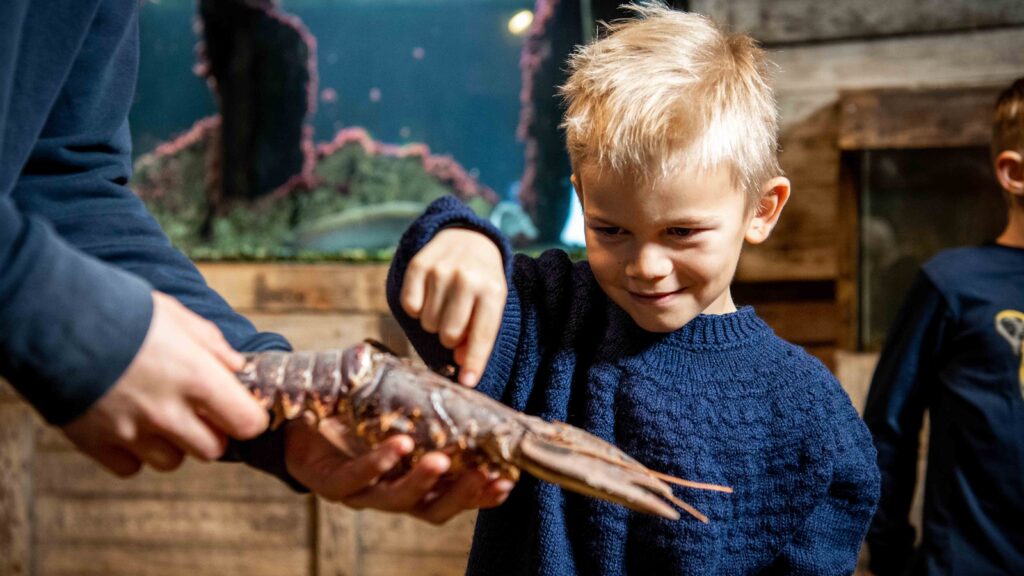 Autumn activities for little and big sea nerds - Thyborøn